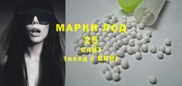PSILOCYBIN Балабаново