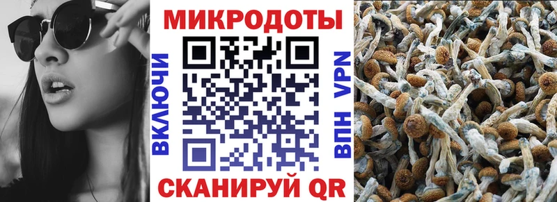 наркота  mega ONION  Псилоцибиновые грибы Cubensis  Шацк 